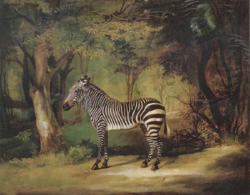 George Stubbs Horse oil painting image